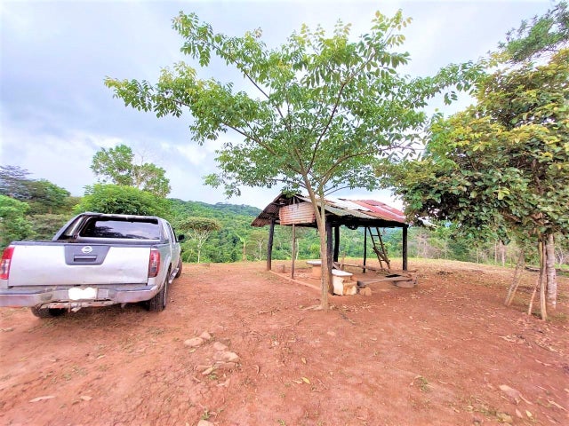 Commercial Property for Sale in Tocumen Panamá Province 07215